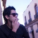 aliens ain't animals