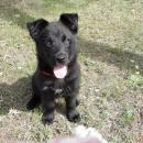 Alejandro Puerto Moreno