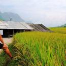 Raul Rodriguez Celaya