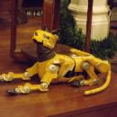 Javier Sánchez Collado