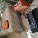 Gerardo Molina Carrasco