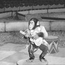 David Fernández Garrido