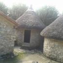 manolovocce