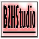 HaroldBZHS