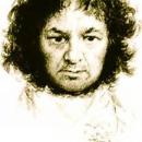 AndyGoya
