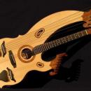 Técnico guitarra