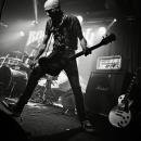 TORRA'N'ROLL