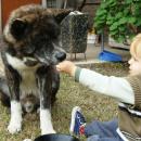 Hector Bertolino Pfeiffer