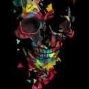 Ing.Rogelio Escalante