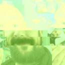 Federico Flesfa Dublé