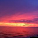 Guillermo Del Castillo