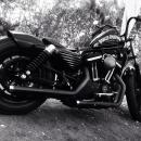 Ismael Zaldivar Lopez-davalillo