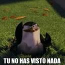 Julen Urizar Compains