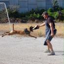 Luis Fernando Ruiz Roldan