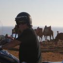 Arturo Ibañez Gonzalvez