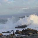 Oskar Muñoz Saavedra