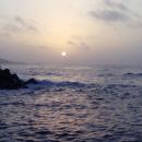 Joaquin Martel Corral