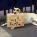 Jan Cesar Olaya Correa