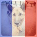 Juan Luis Laguarta Abuín