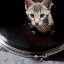 José Miguel Rubio Vázquez