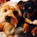 Daniel Mederos Sanchez