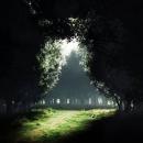 Muñoz Mujica Esteban