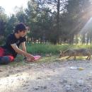 Carlos Carrasco Ruiz