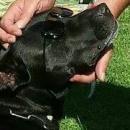 Joseramon Vazquezvazquez Iou