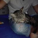 Xian Gomez Rodriguez