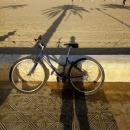 Andres Emilio Maskin