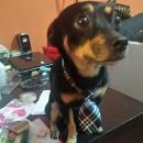 Francisco Concepcion