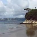 Francisco Ortega Frutos