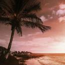 Adrian Sobejano Rodriguez