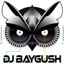 BayGush