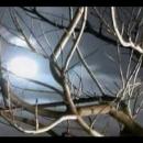 Fernando J. González