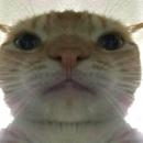 Hebert Hernandez Sosa