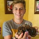 Marcel Pacheco Alcalde