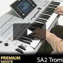 Misael Ramirez Hernandez