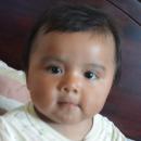 Osvaldo Daniel Ilaja Baeza