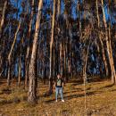 Miguel Ángel Peceros