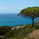 Zaharadirect Empresas