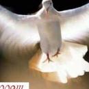 Juan Ramon Blanco Aristin