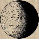 Joan Seguí Perpinyà