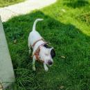 Juan Antonio Diaz Spirito