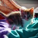 Maria Isabel Fernandez