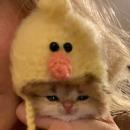 Michel Jair Quevedo Calzada