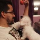 Antonio An Mismo Torres