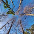 Miguel Ángel Martínez