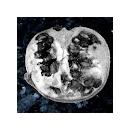 Luis Del Amor García