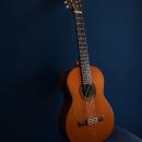 guitarraespinosa